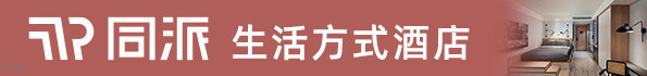 同派